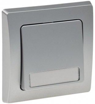Delphi silber Taster mit Namensschild X - Bild 1